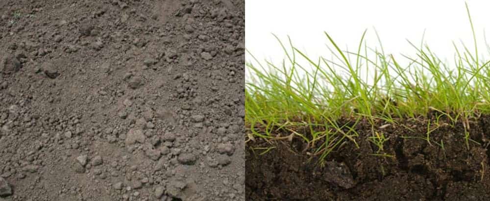 Soil and Turf